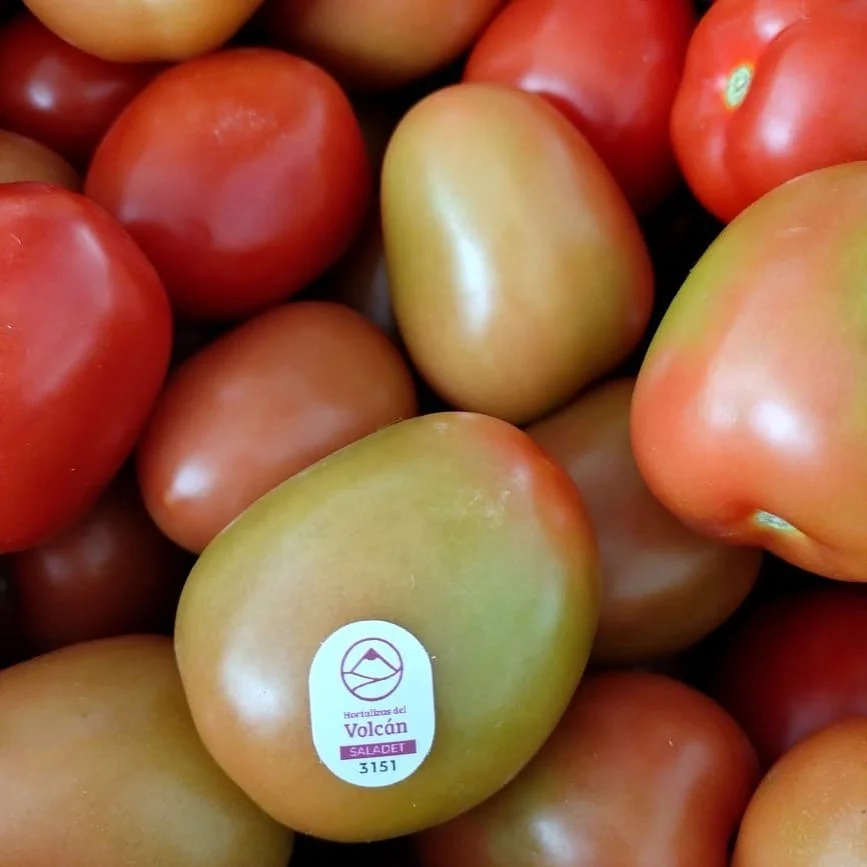 Hortalizas del Volcan 🍅😋🤩