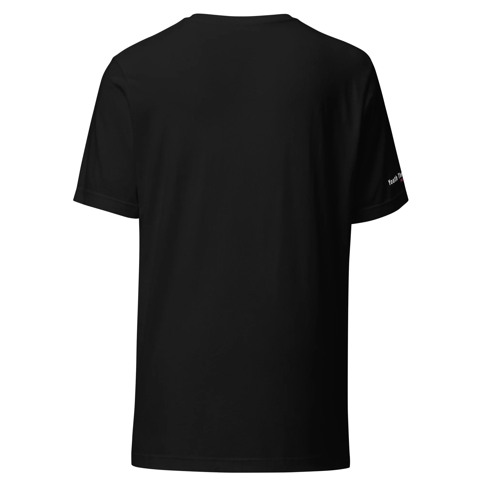 unisex-staple-t-shirt-black-back-68b0bed6aa953.jpg
