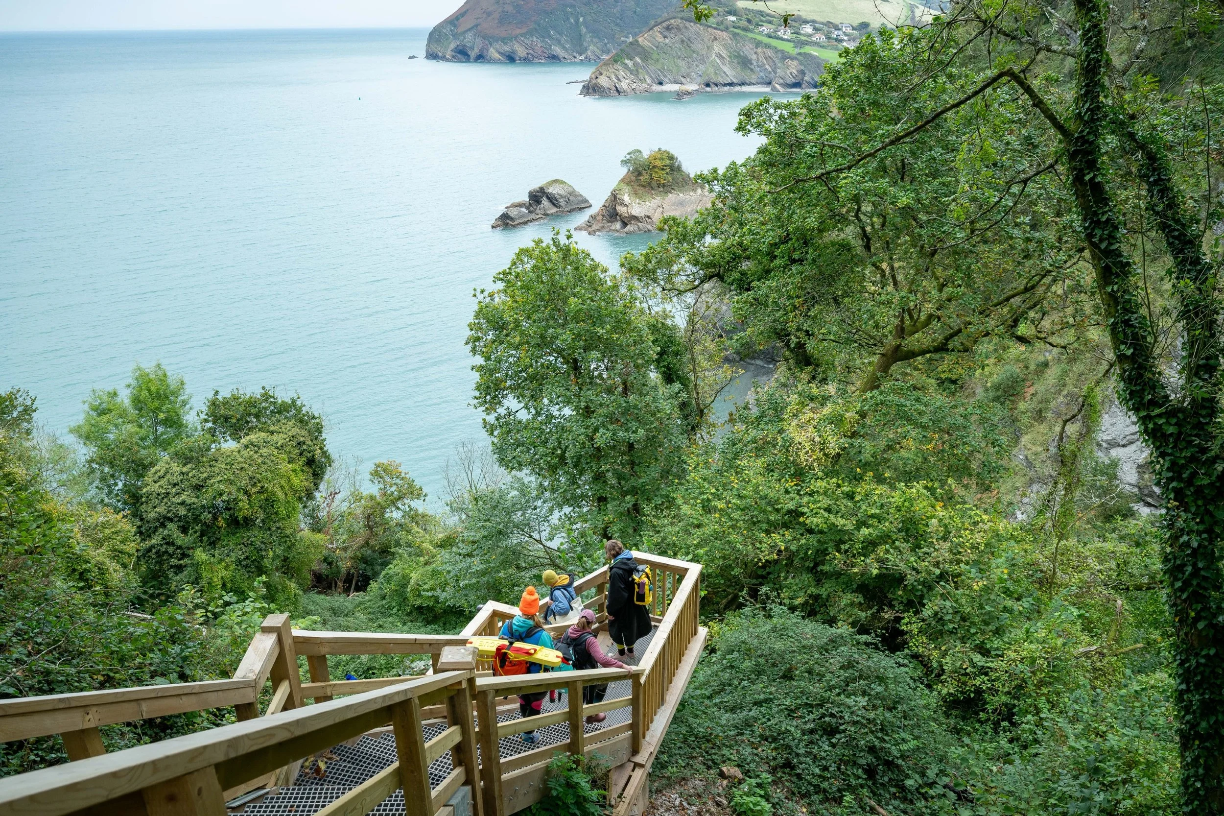People hiking down a wooden staircase through a lush green forest overlooking the coast with cliffs and ocean in the background.