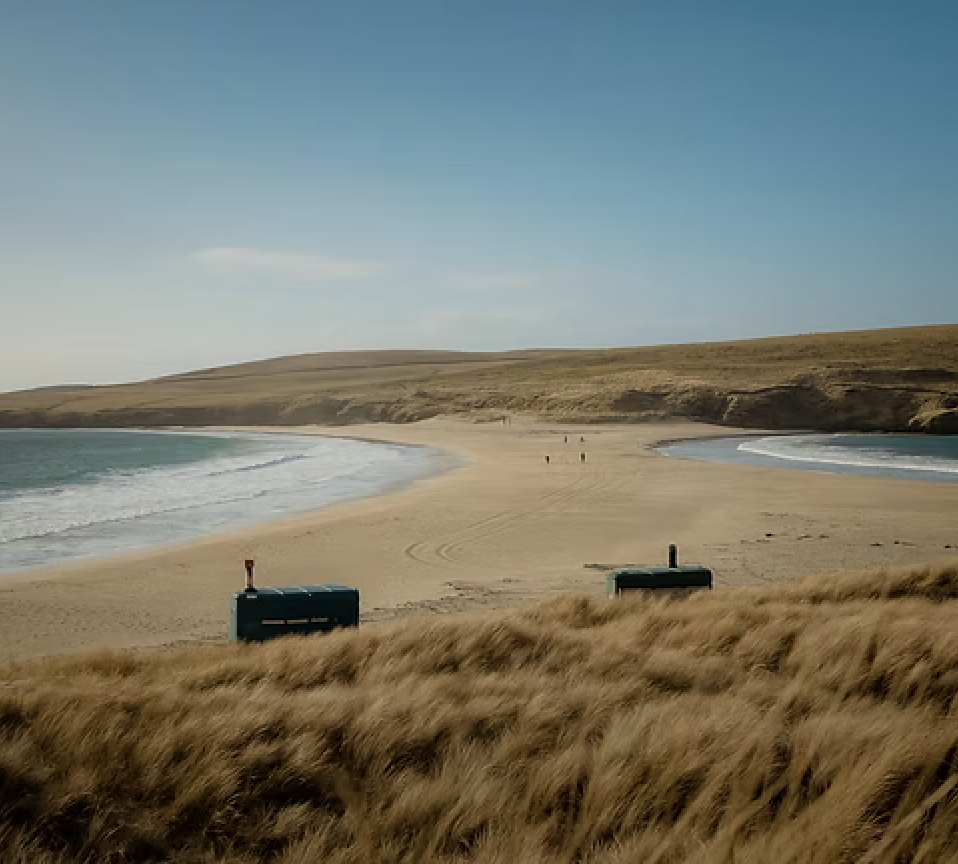 A deserted beach with golden sand, bordered by grassy dunes, and two green trash bins in the foreground. The ocean waves gently lap the shore under a clear blue sky.
