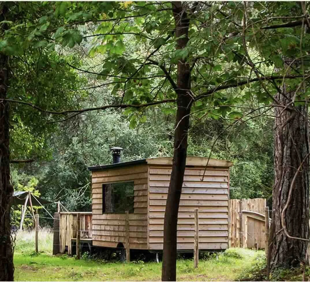 A small wooden cabin with a black chimney in a lush green wooded backyard, surrounded by trees and a wooden fence.