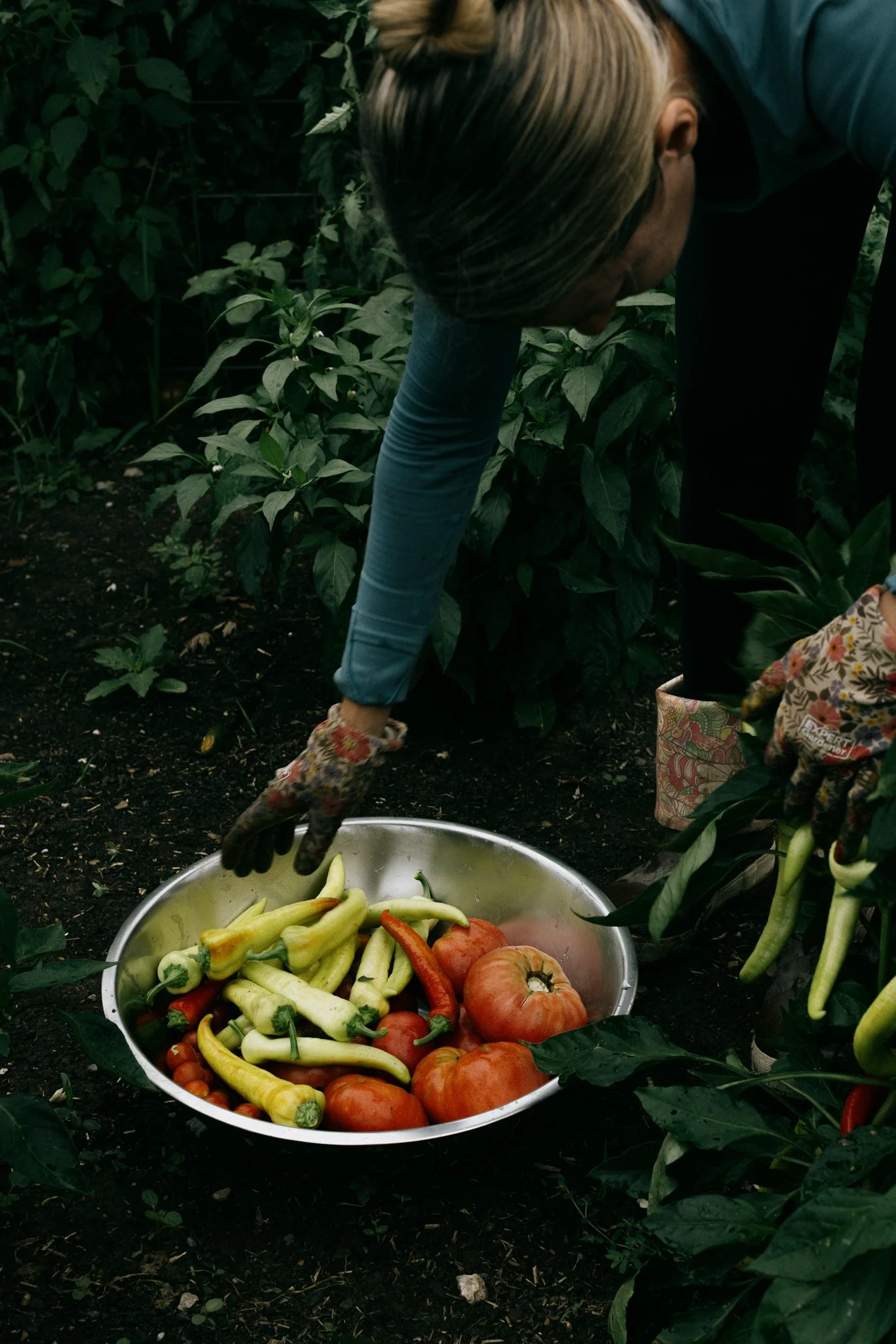 fieldandforgefarm-38.jpg