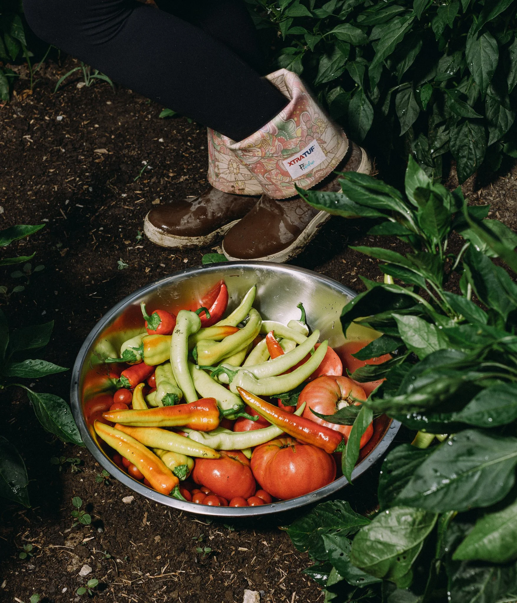 fieldandforgefarm-40.jpg