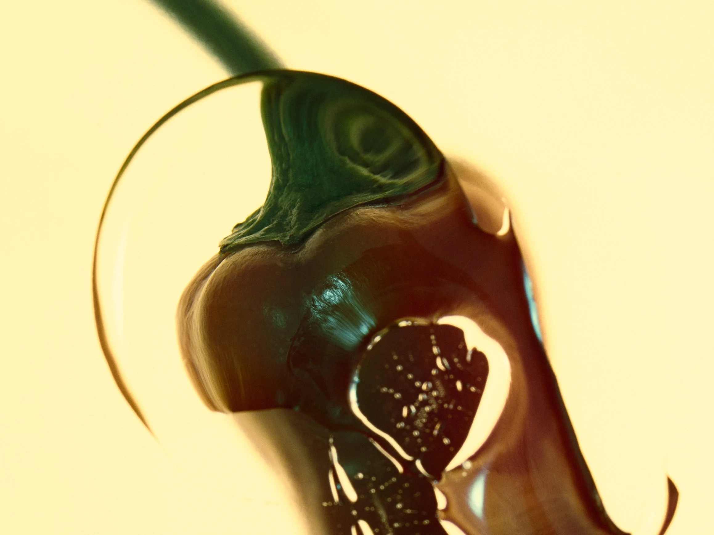 pepper 3.jpg