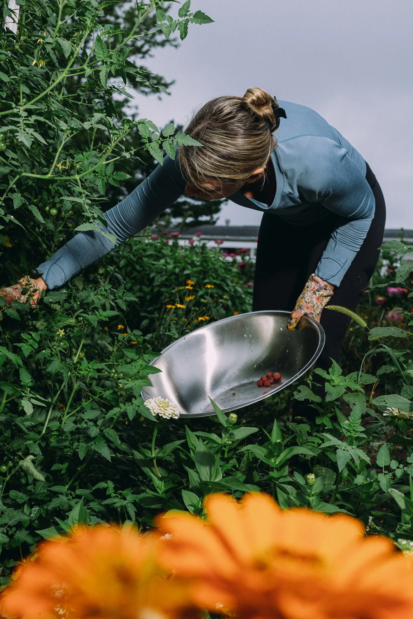 fieldandforgefarm-18.jpg
