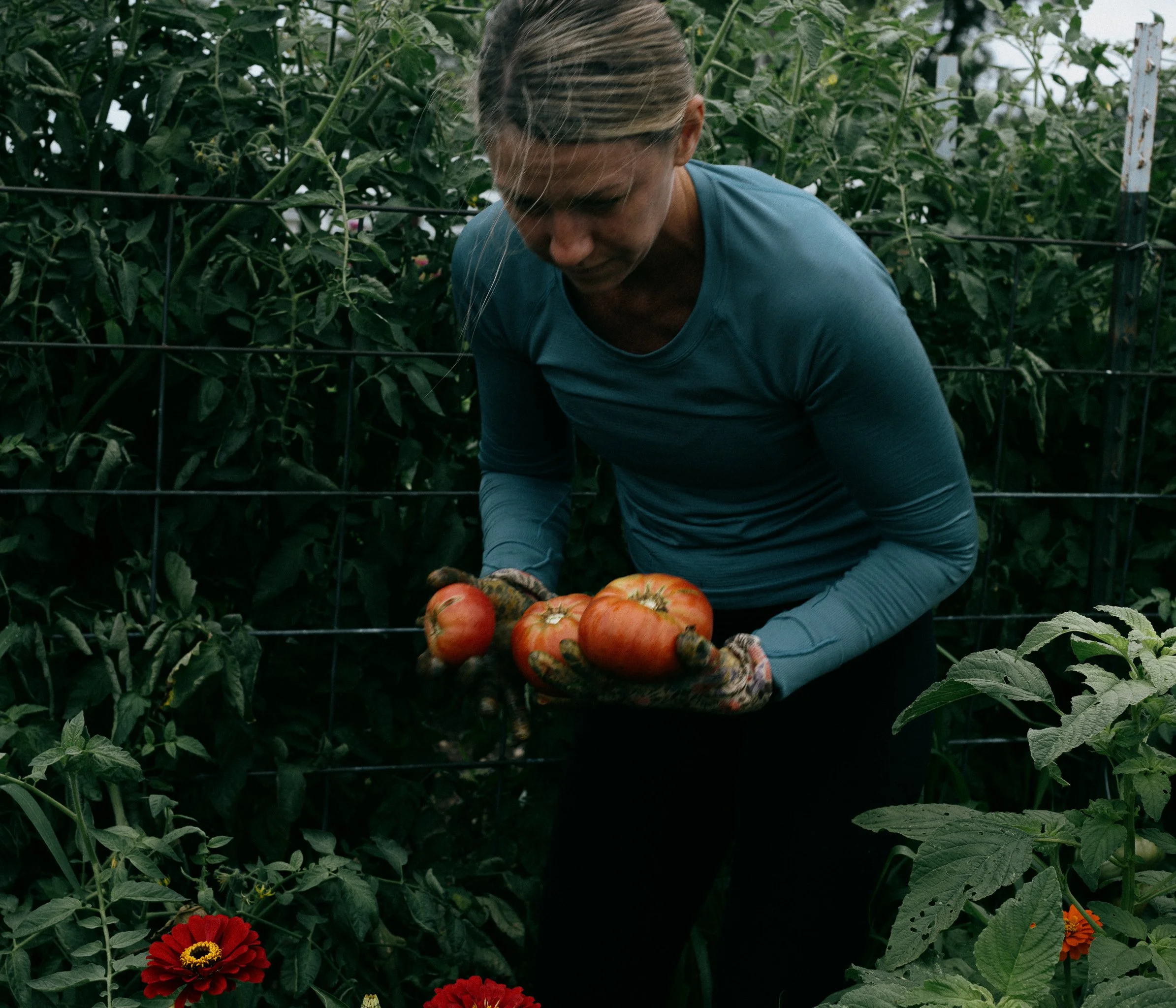 fieldandforgefarm-30.jpg