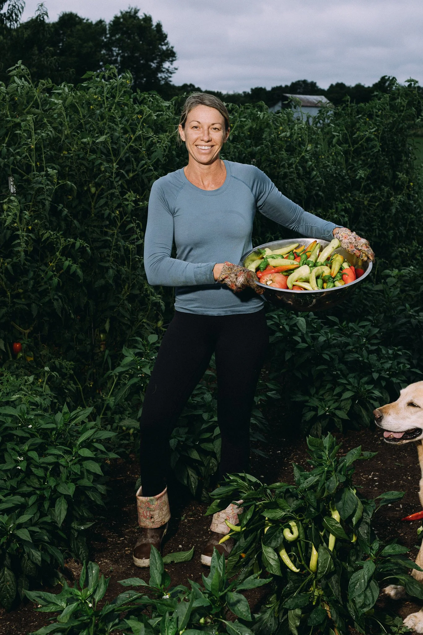 fieldandforgefarm-44.jpg