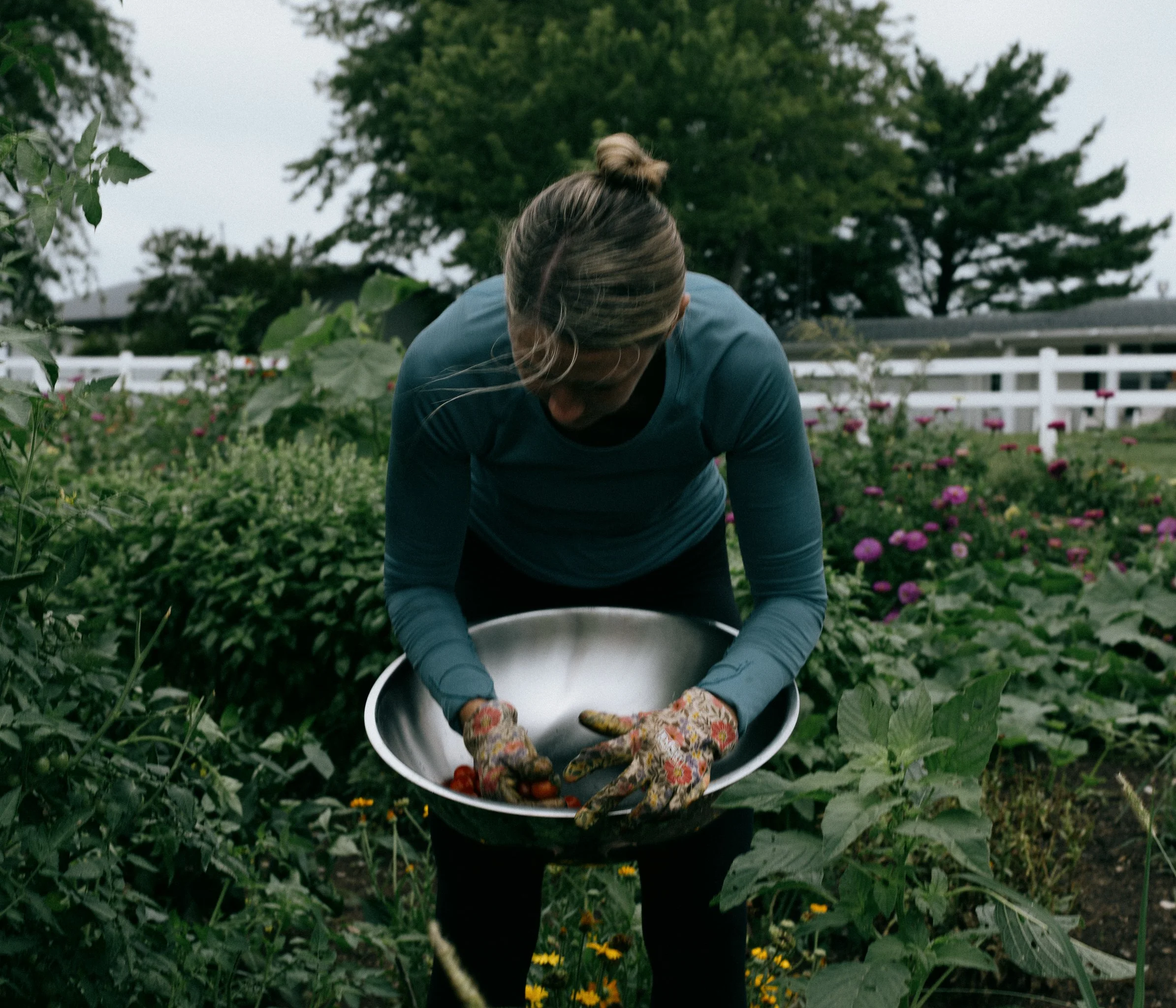 fieldandforgefarm-16.jpg