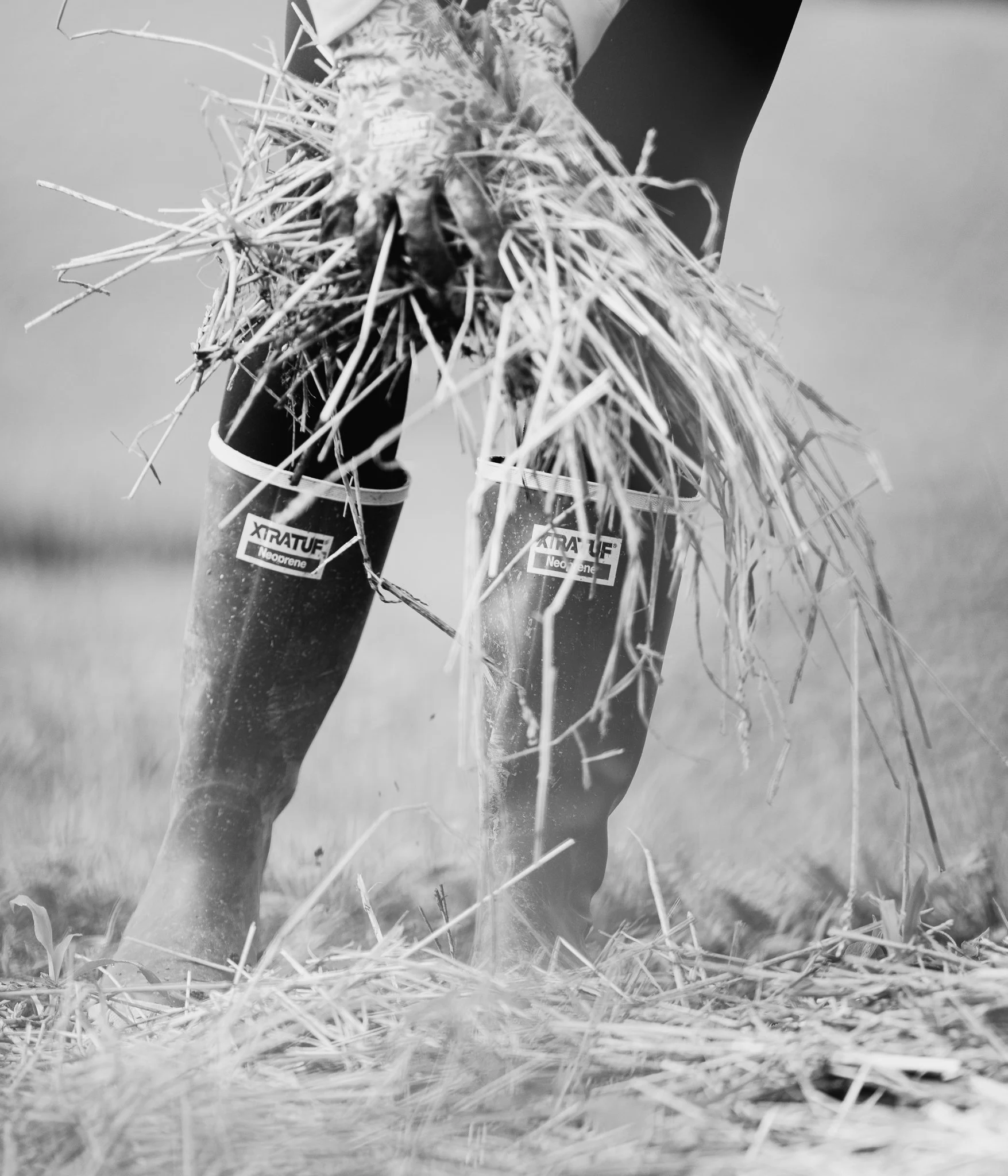 fieldandforgefarm-25.jpg