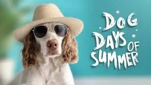 Dog Days of Summer Kick Off Adoption Event