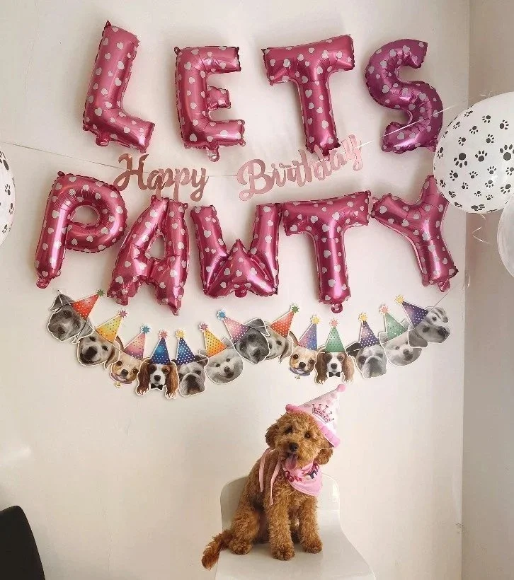 Glam &amp; Goodies Fundraiser