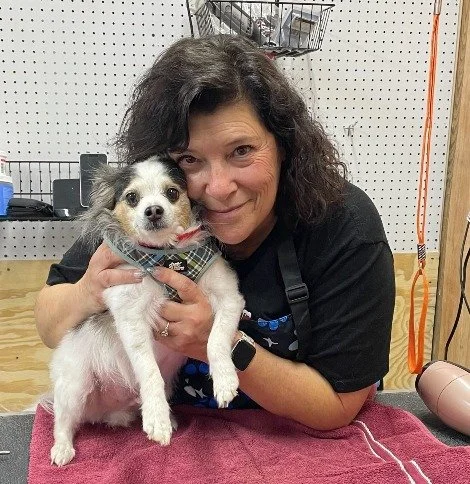 Bath &amp; Brush Appointments | Ongoing Dates