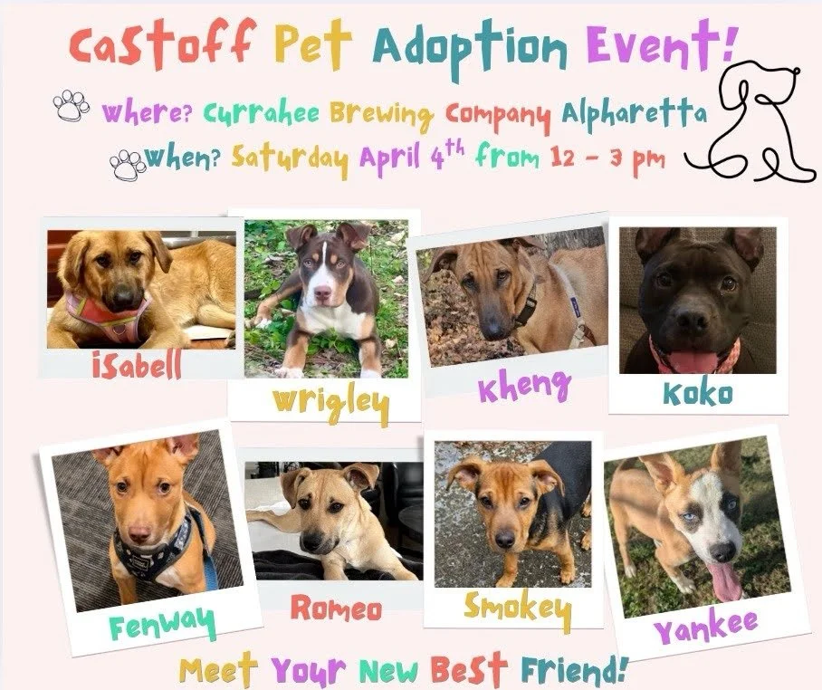 Alpharetta Adoption Event