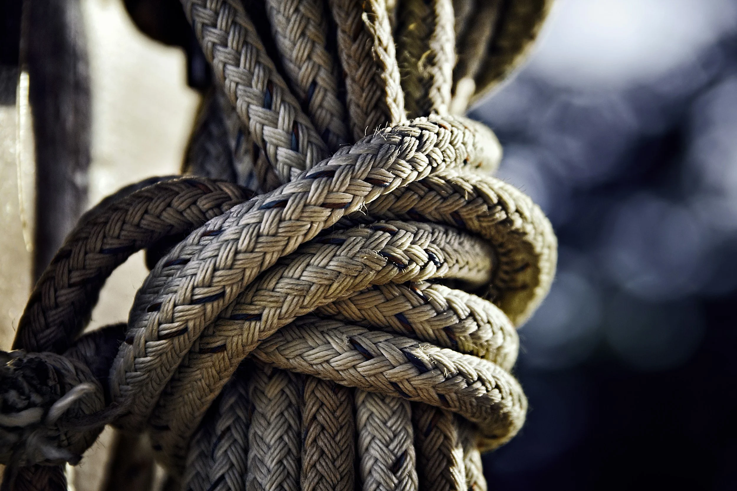 Conditioned for Dysfunction: The Guilt of Desiring a Healthy Workplace or Boss