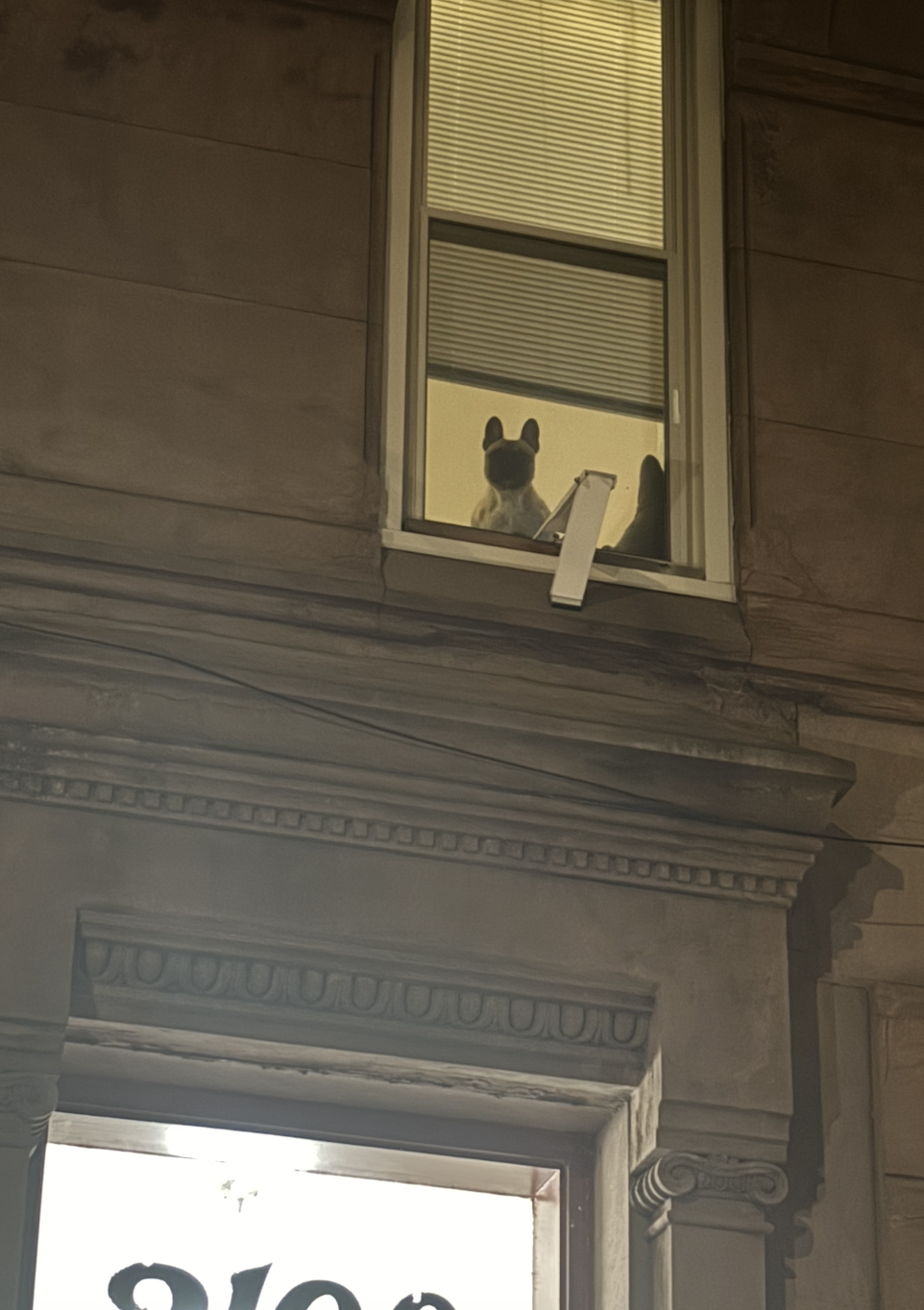 Screenshot 2026-01-02 at 11.10.22 AM.png