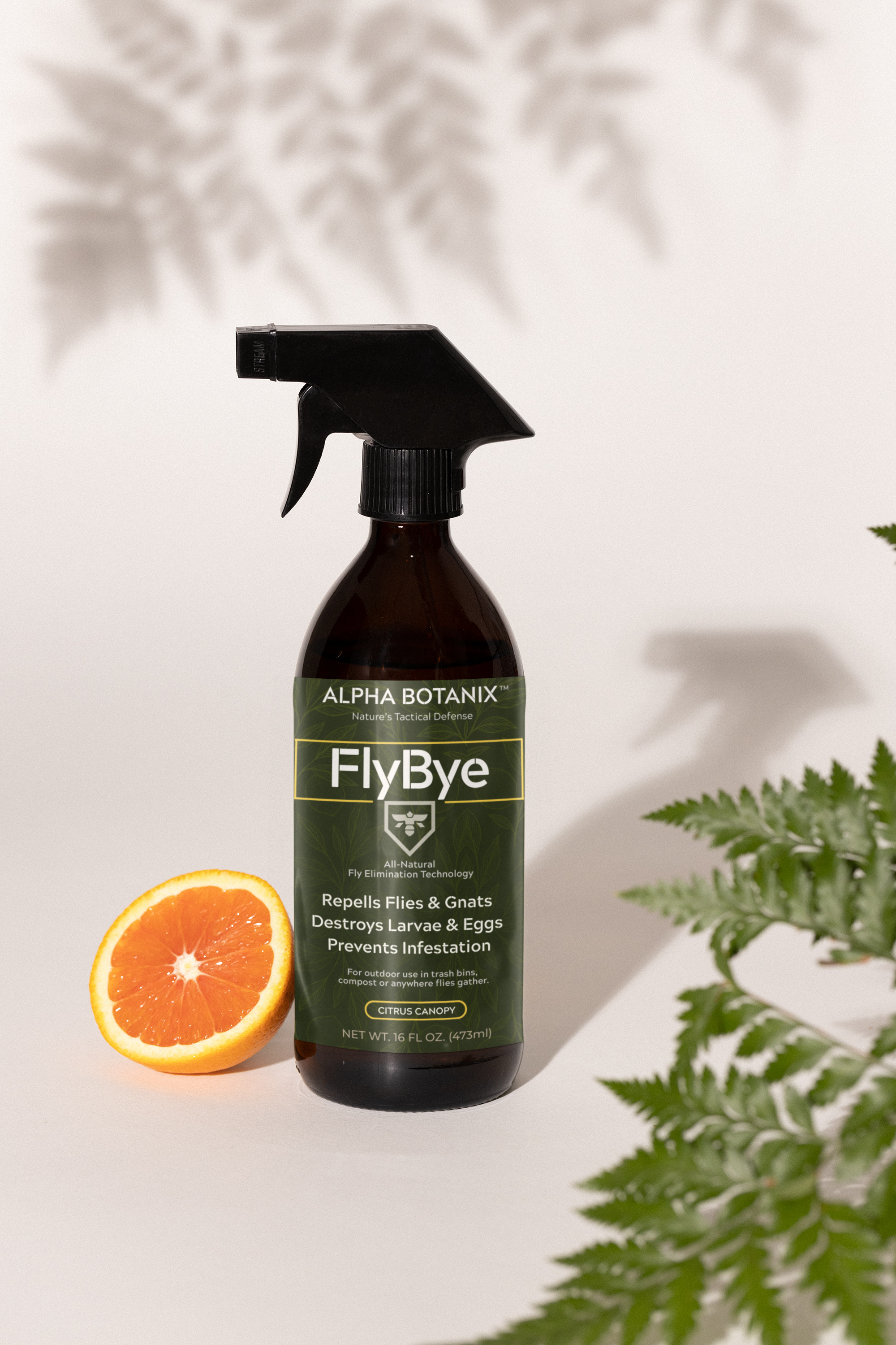 glass-spray-bottle-mockup-featuring-an-orange-and-some-plants-m32215.png