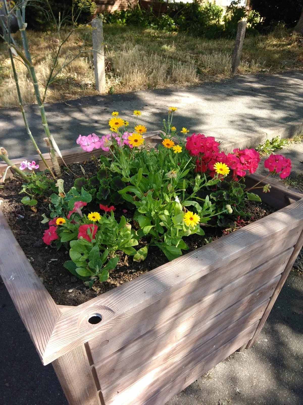 Planter.jpg