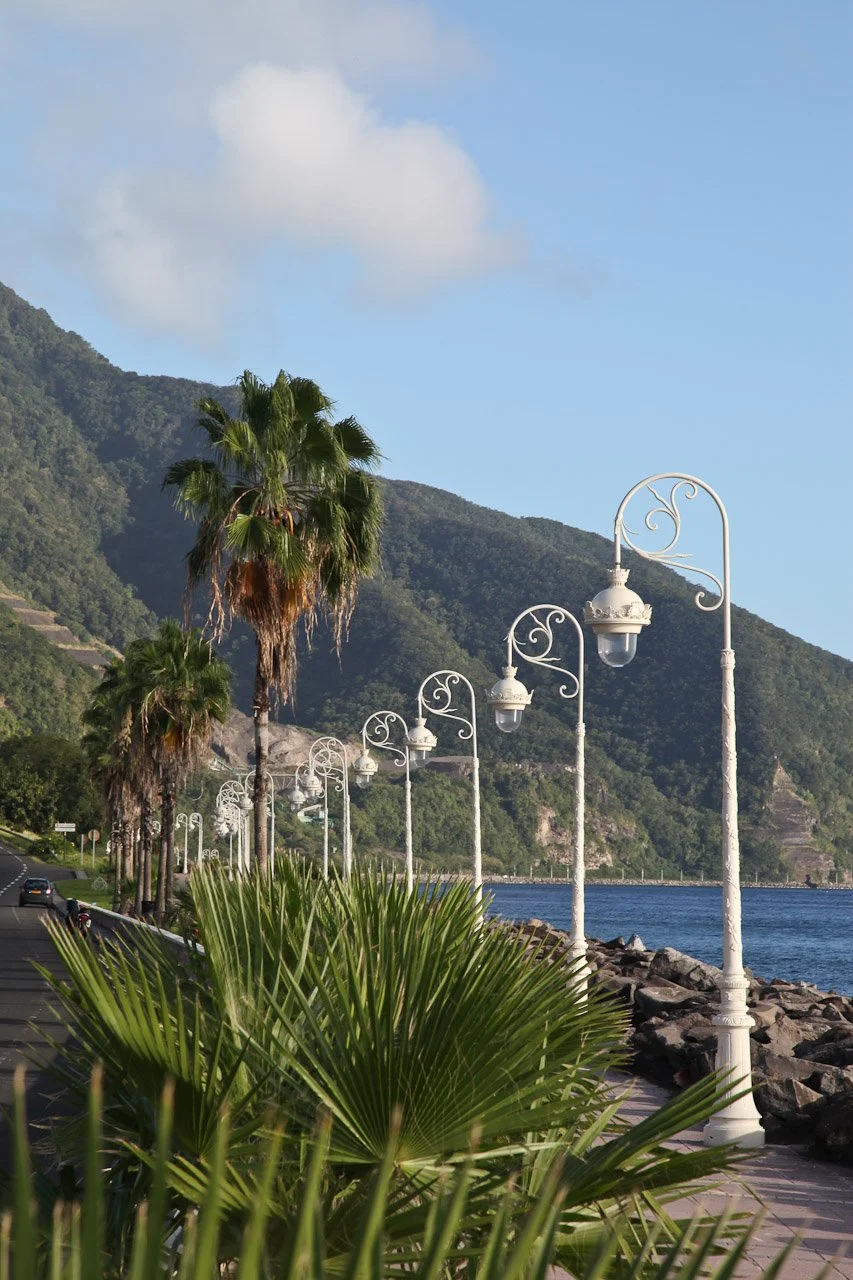 20110212_Basse_Terre_017.JPG