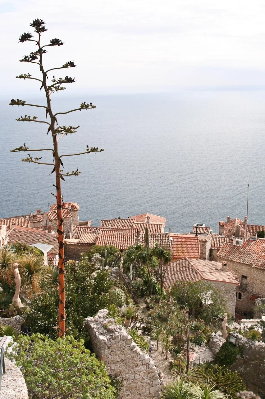 20100228_Eze_073.JPG