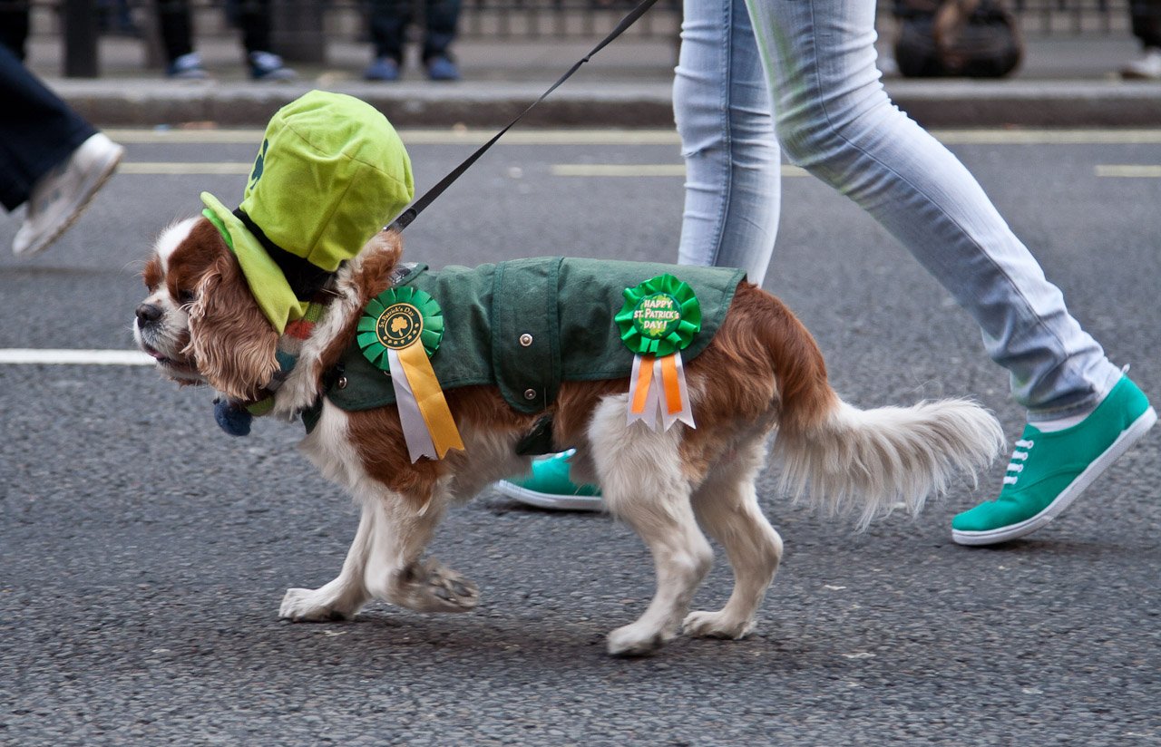 20100314_Saint_Patrick_Day_050.JPG