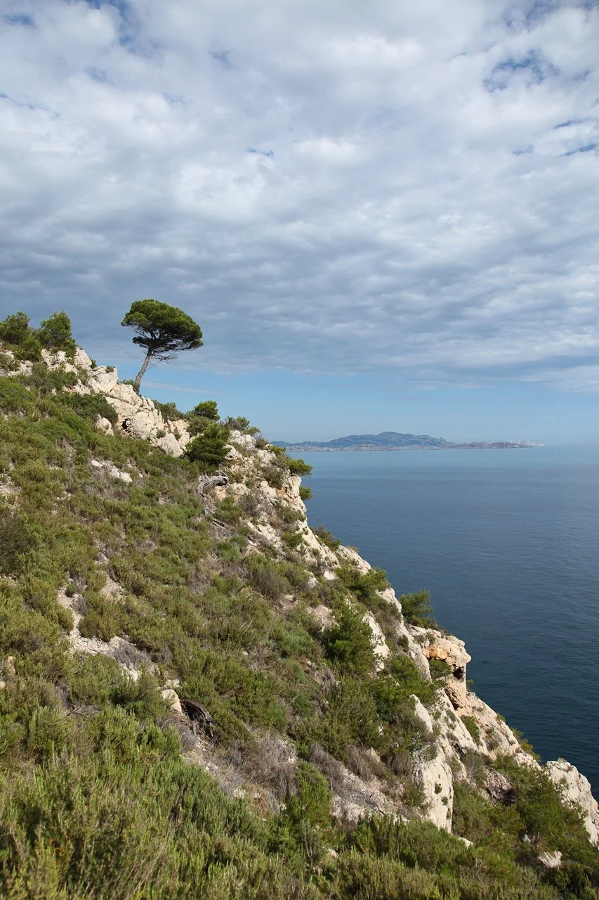 20130702_Cote_Bleue_LaRedonne_Niolon_092.JPG