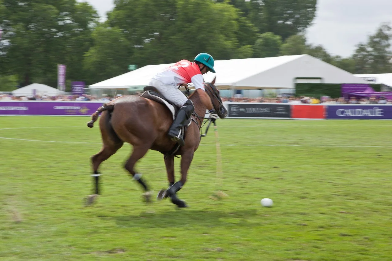 20260607_Polo_Hurlingham_Park_422.JPG