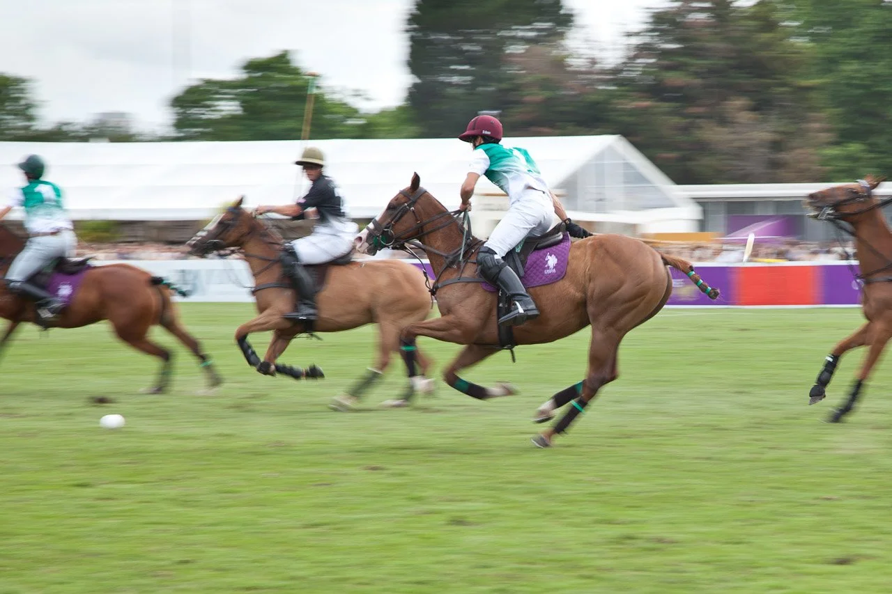 20260607_Polo_Hurlingham_Park_601.JPG