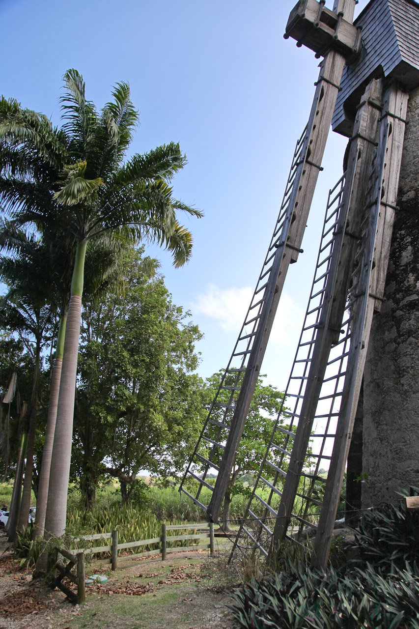 20110210_Distillerie_Damoiseau_010.JPG