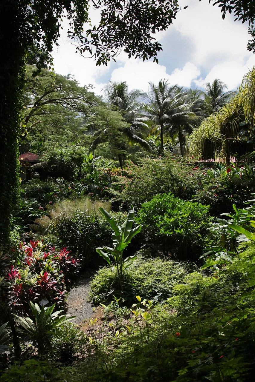 20110205_Domaine_de_Valombreuse_007.JPG