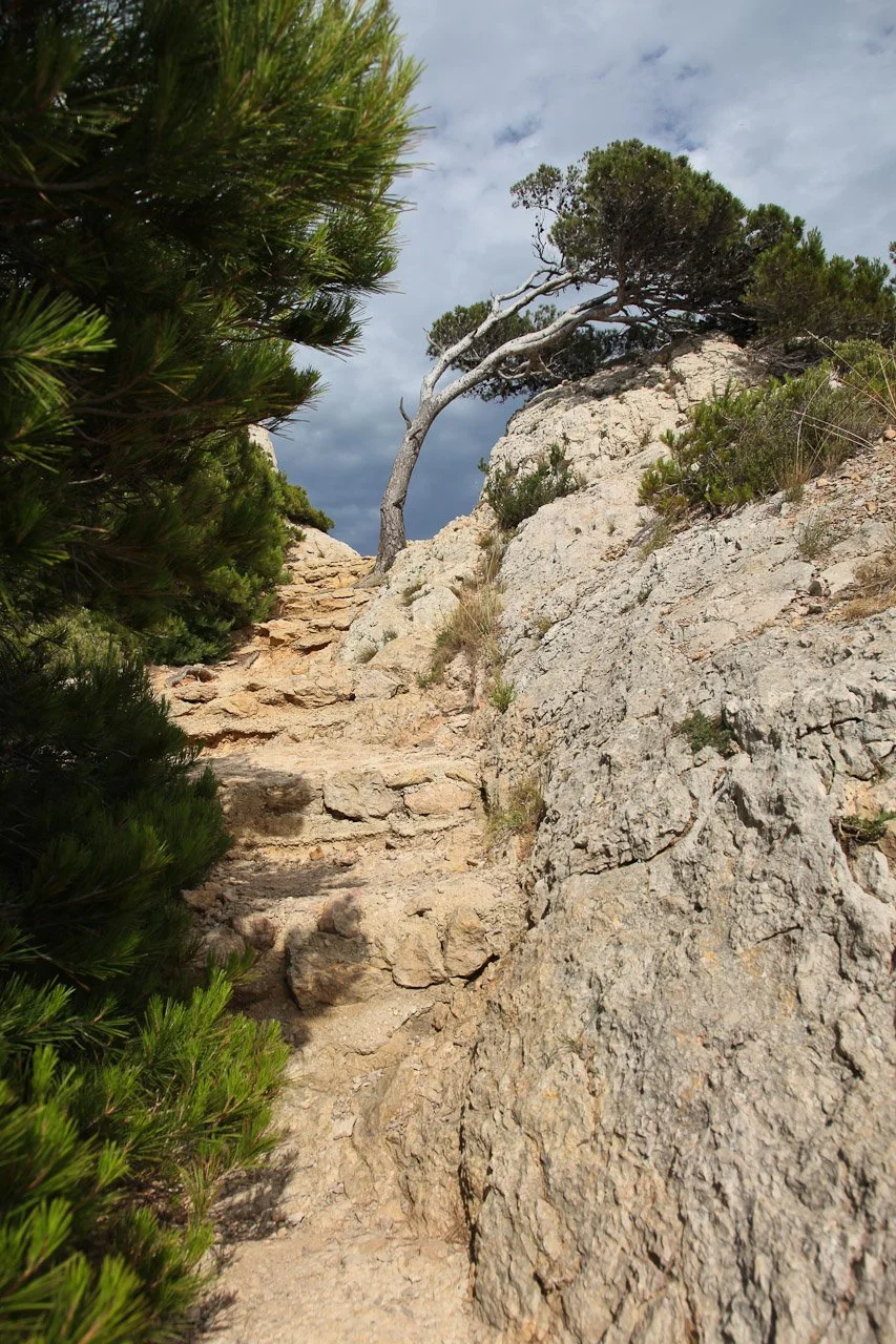 20130702_Cote_Bleue_LaRedonne_Niolon_081.JPG