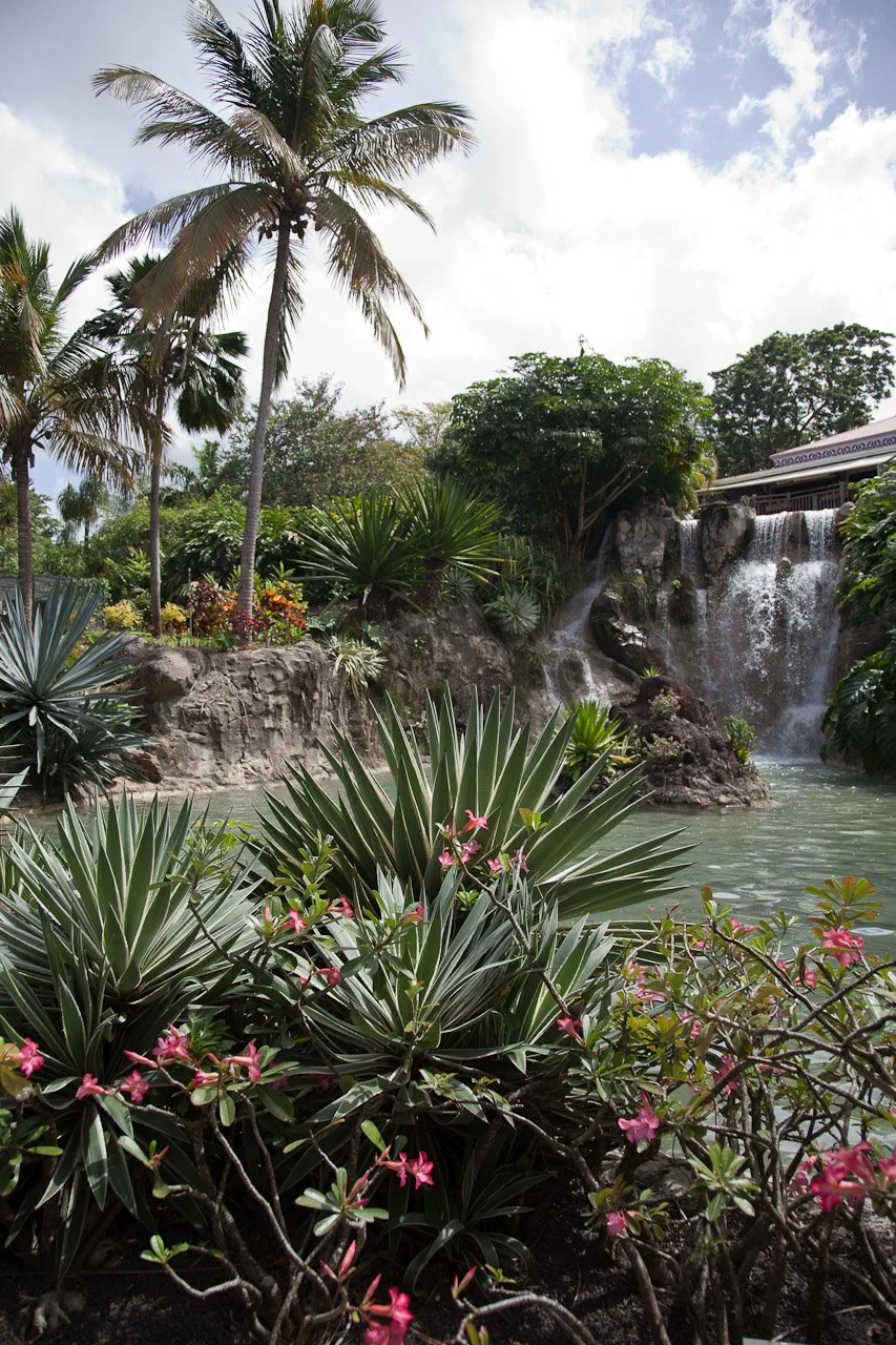 20110209_Jardin_Botanique_Deshaies_159.JPG