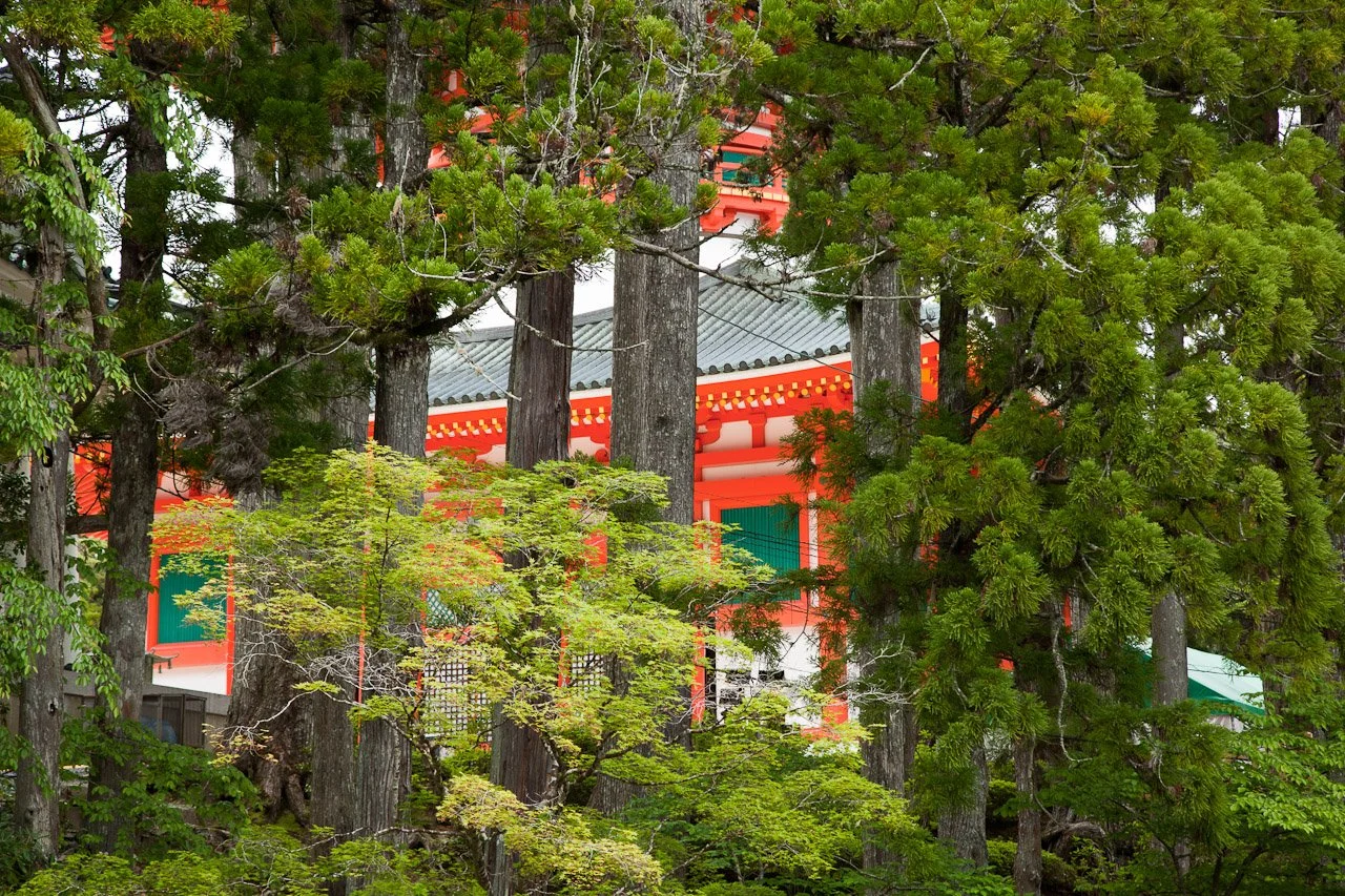 20230518_Koyasan_372.JPG