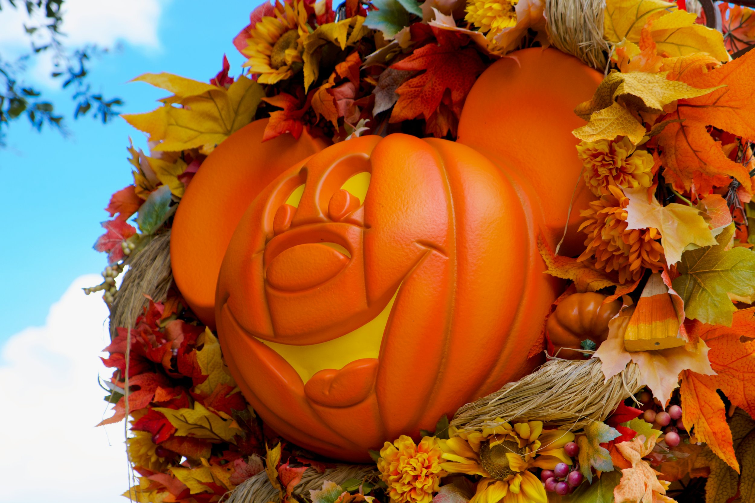 What to Expect at Walt Disney World in October 2026