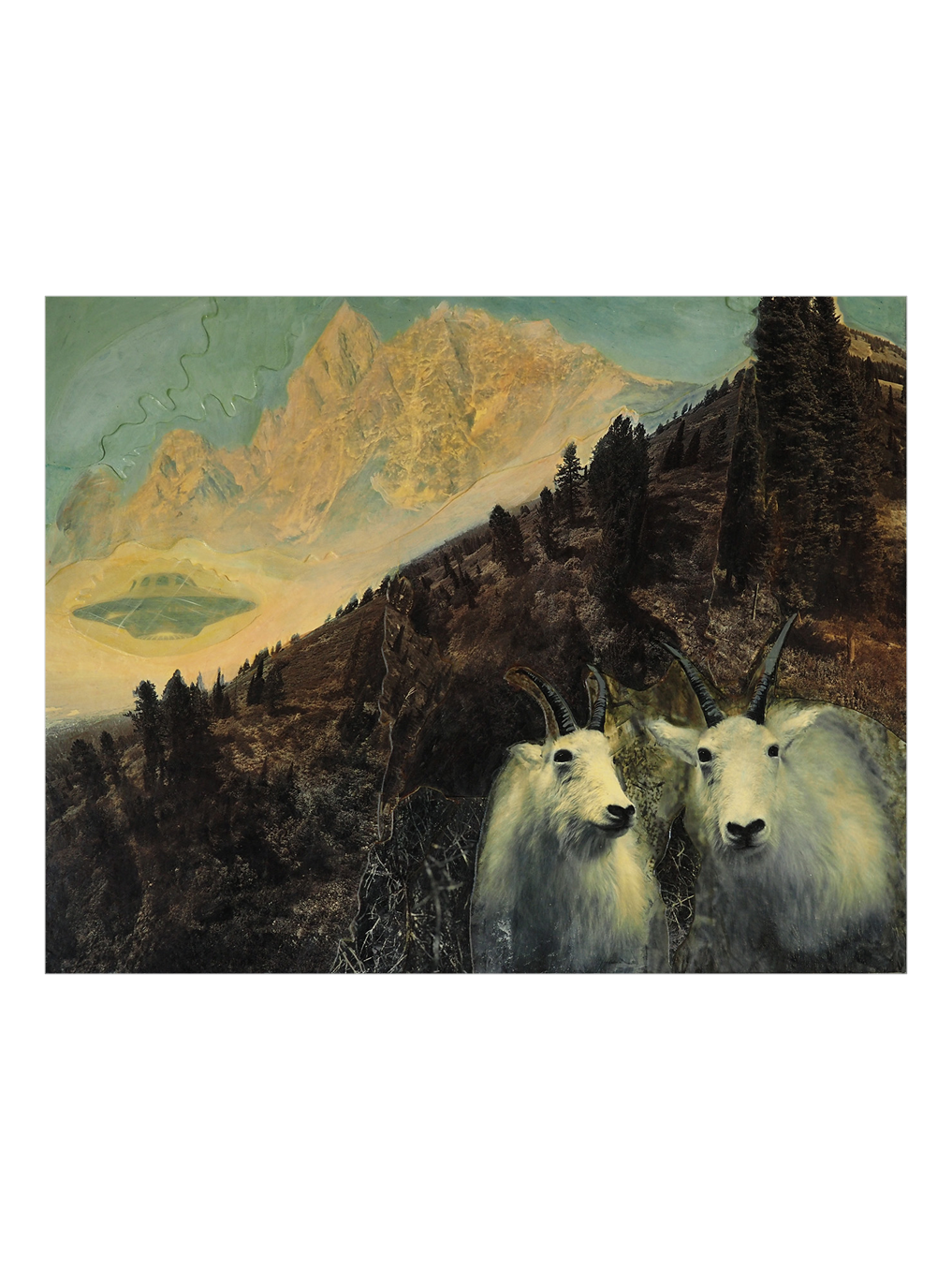 Lynda Frese | Grand Tetons