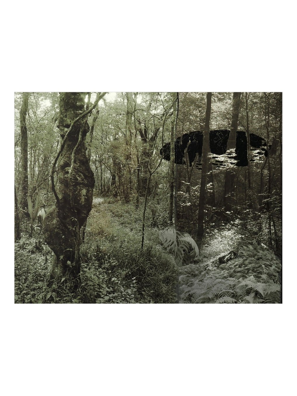 Lynda Frese | Black UFO