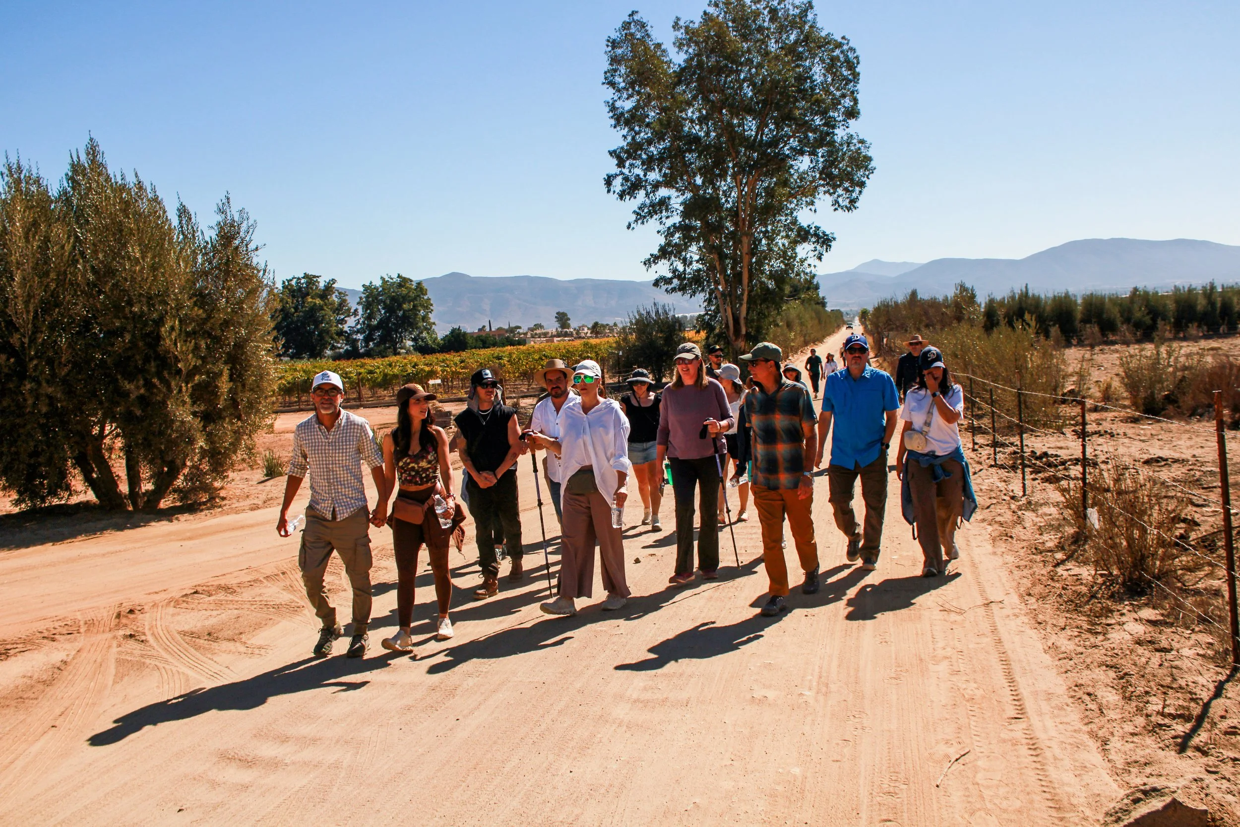 Caminando El Porvenir | Vol. 1