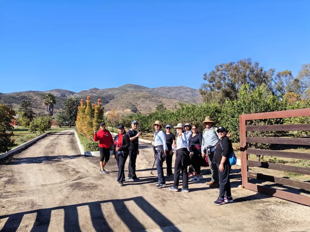 Caminando El Porvenir | Vol. 2