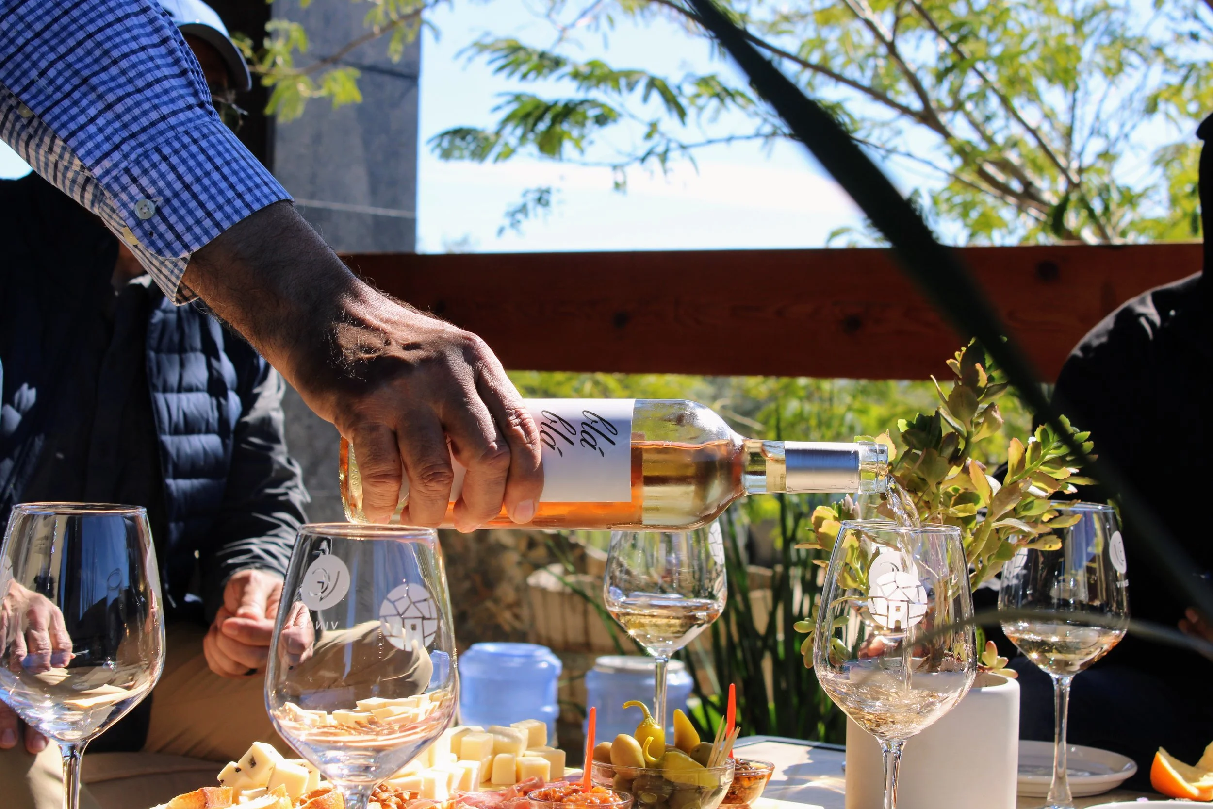 Caminando El Porvenir | Vol. 5 