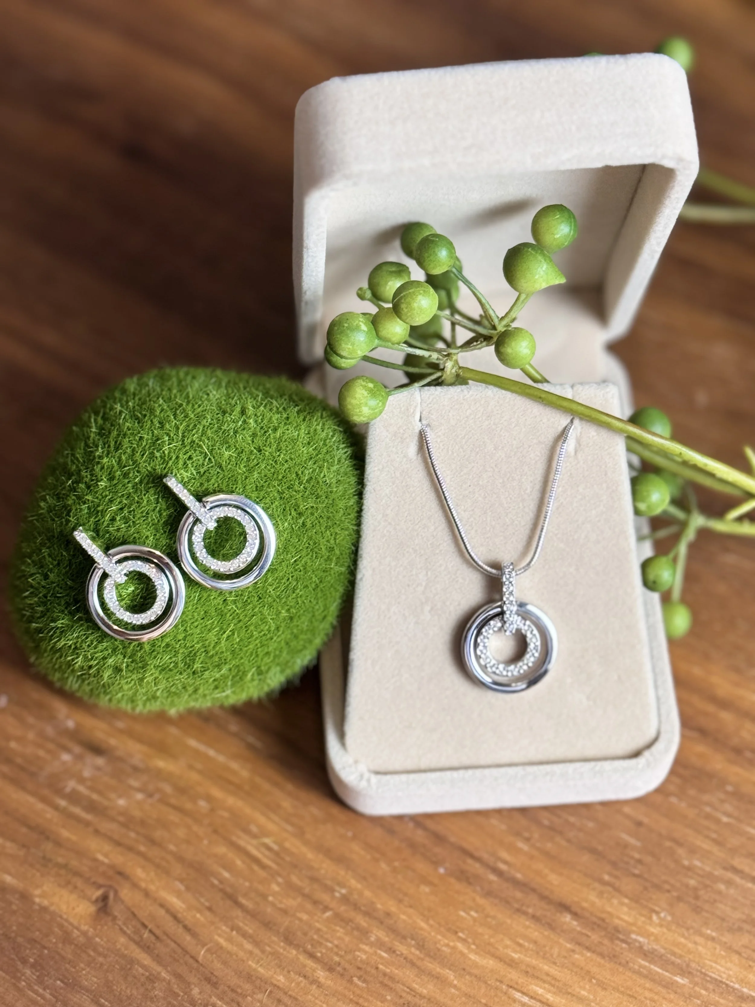 Silver jewelry set consisting of a necklace and earrings featuring circular designs, displayed with decorative green foliage on a wooden surface.