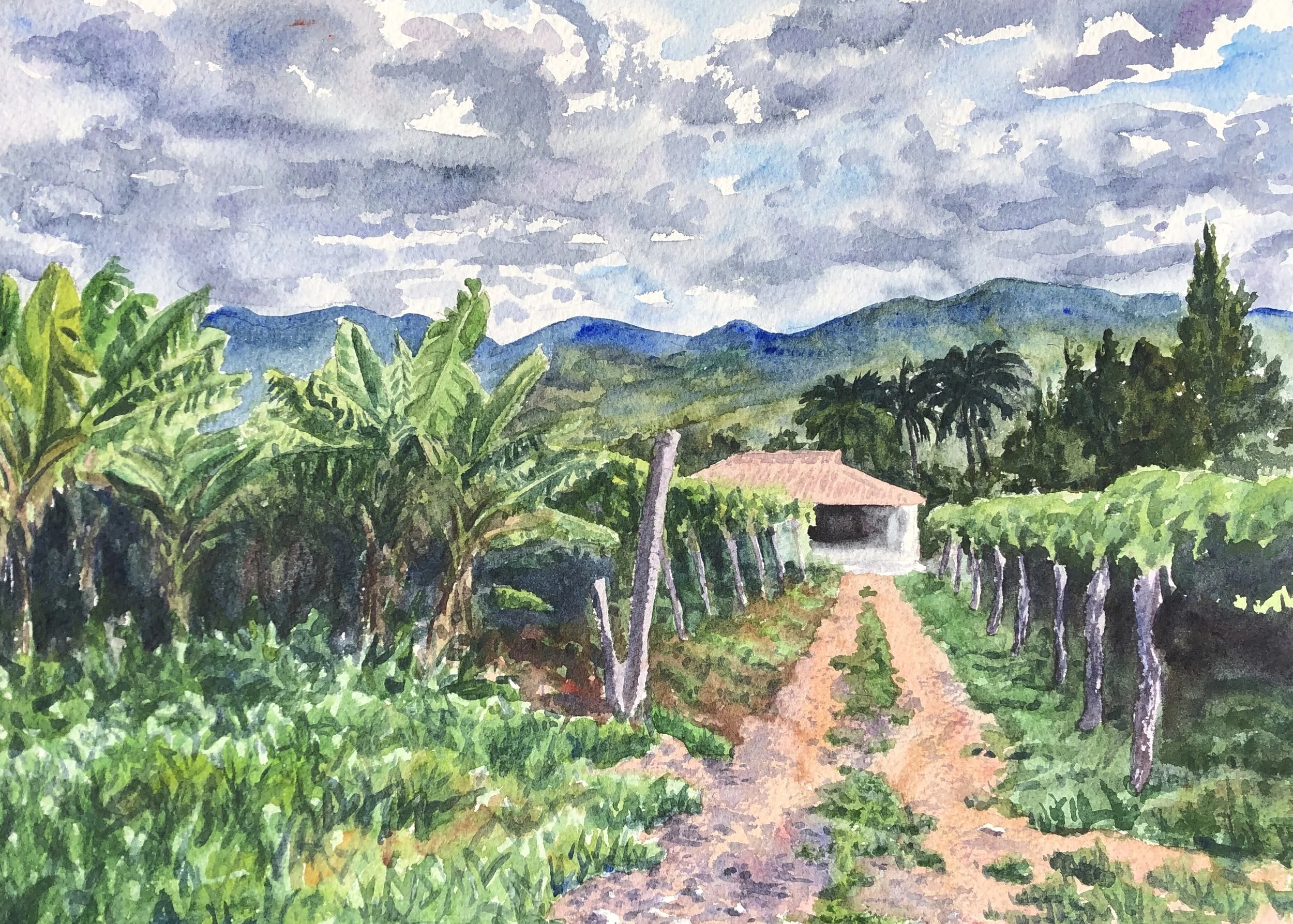 Finca en República Dominicana
10"x14"