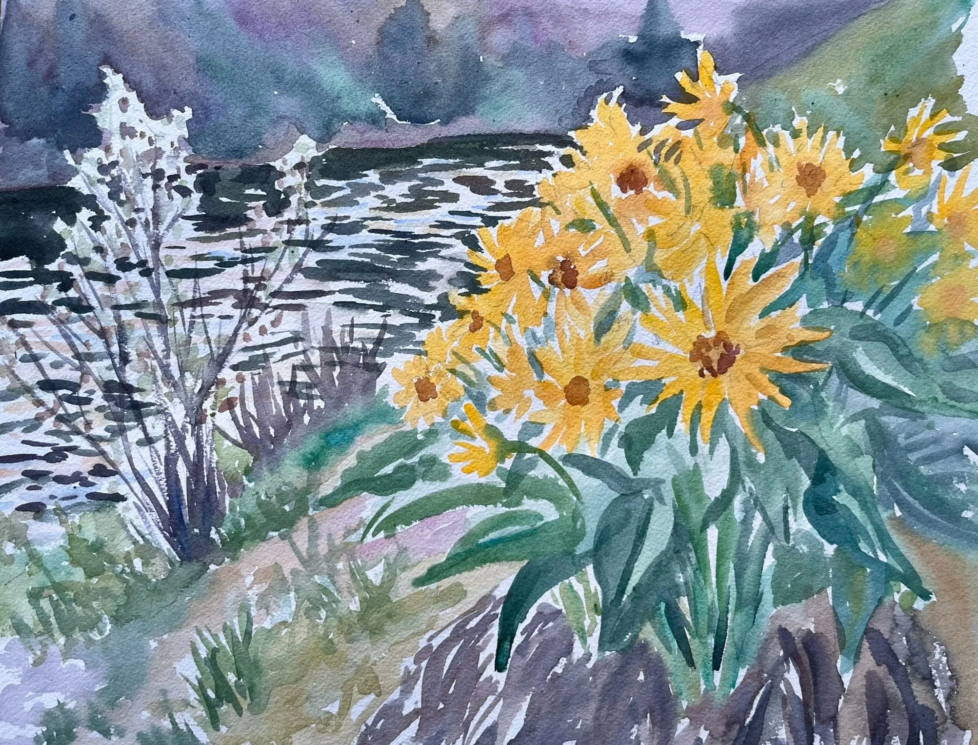 Evening Balsamroot
11"x14"