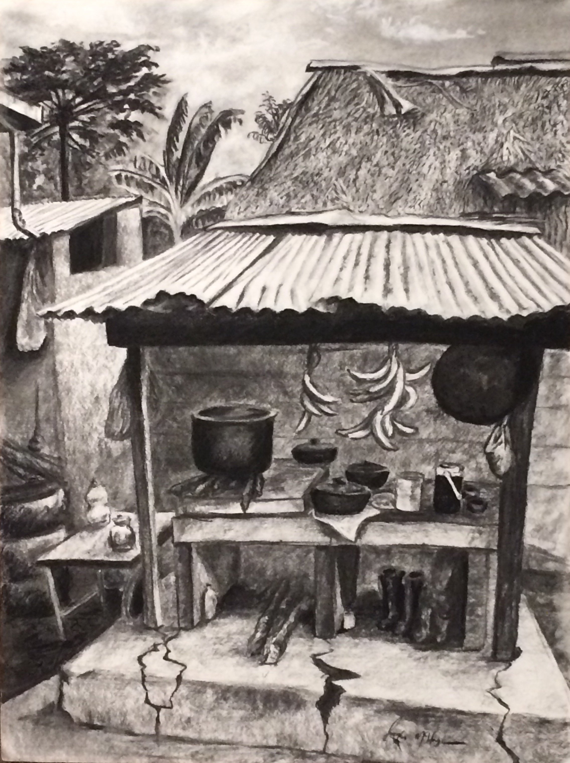 Finca Colombiana
(Charcoal), 18"x24"