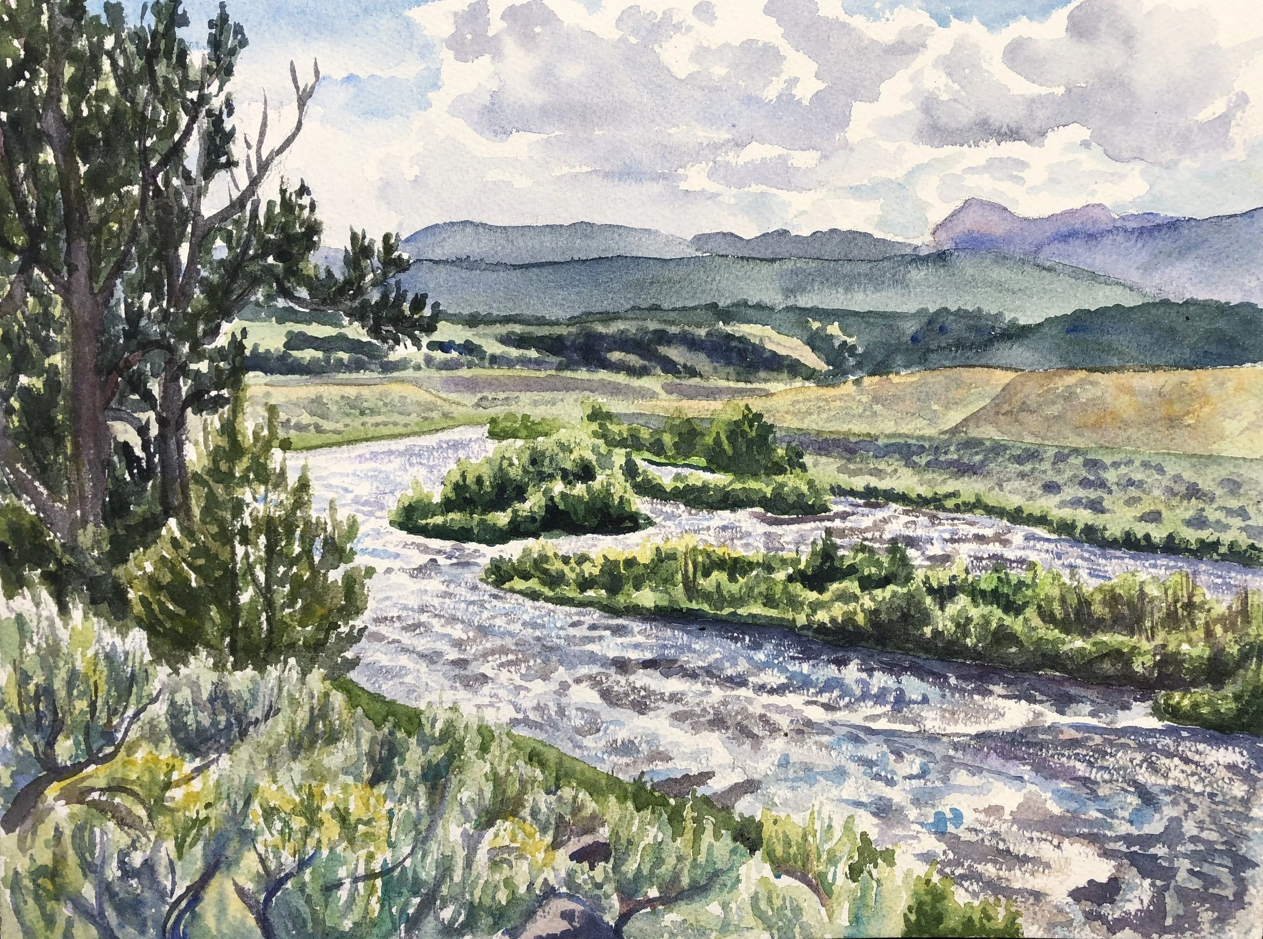 Madison River
12"x16"
(Sold)