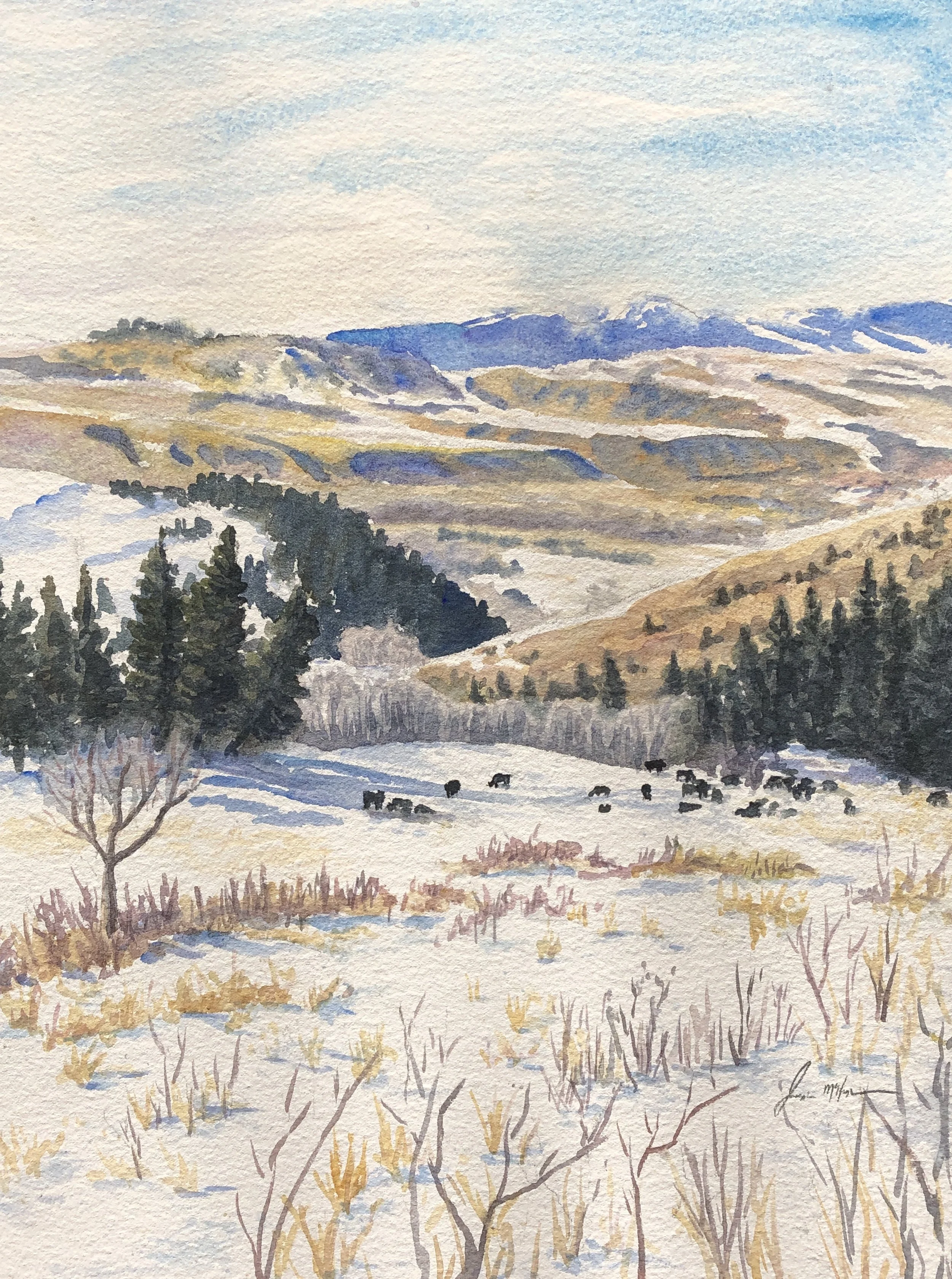 Little Bear Canyon
11"x14"