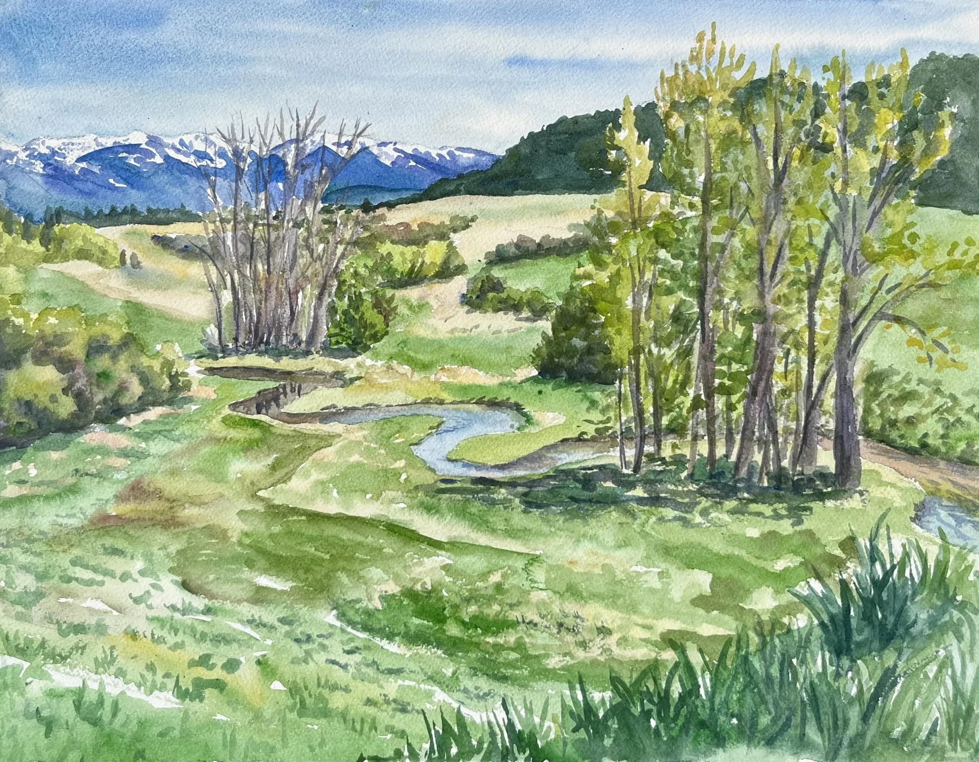 View outside Kalispell
12"x16"