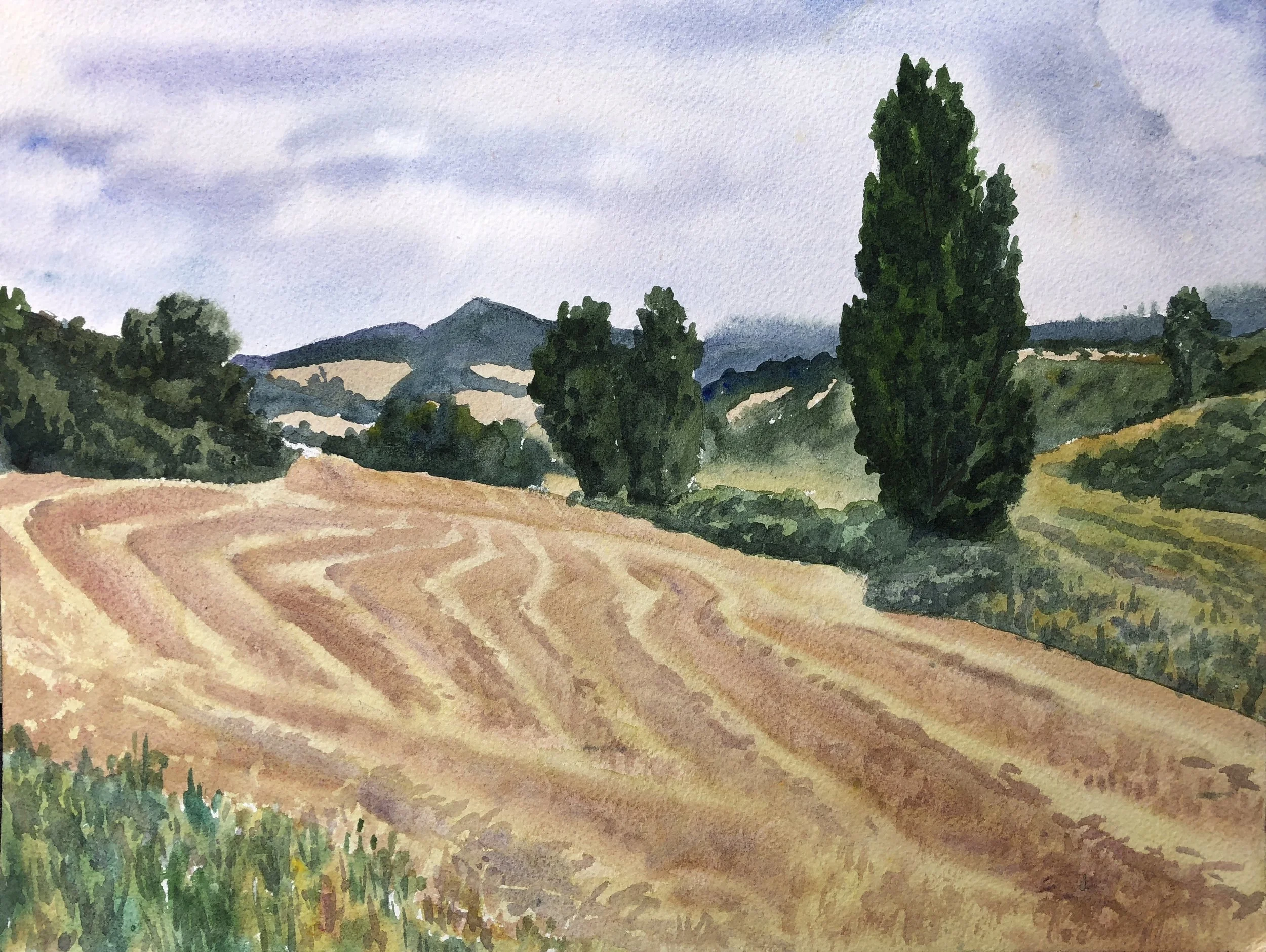 Wheatfields, Spain
12"x16"
(NFS)