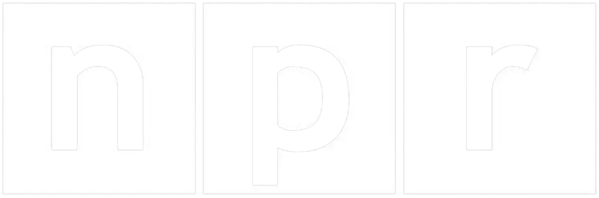 image-asset.webp