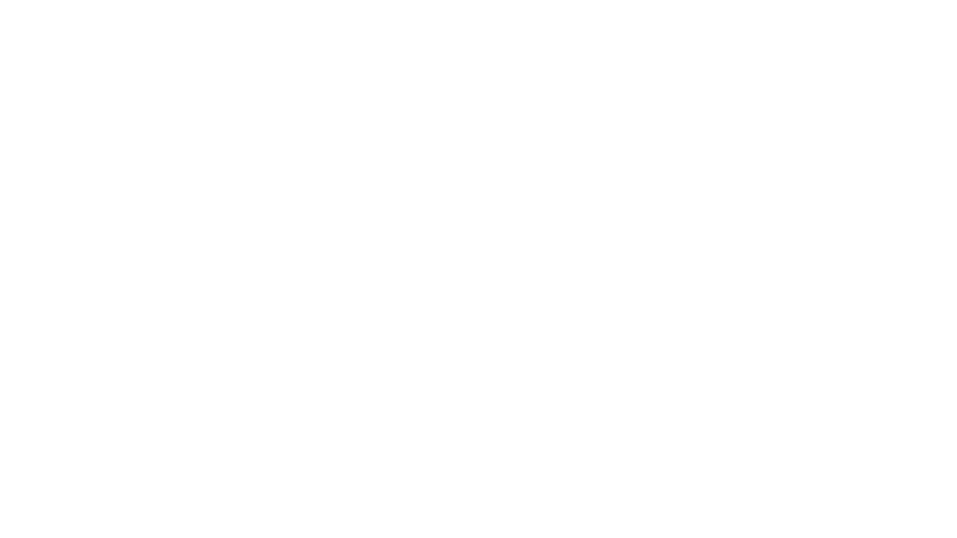 schmidt logo png_white.png