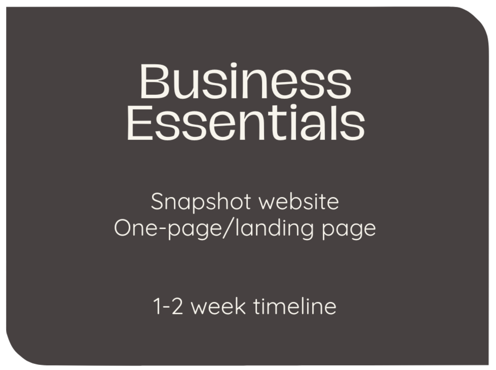 Slide presentation titled 'Business Essentials' with bullet points about creating a snapshot website, one-page landing page, and a 1-2 week timeline.
