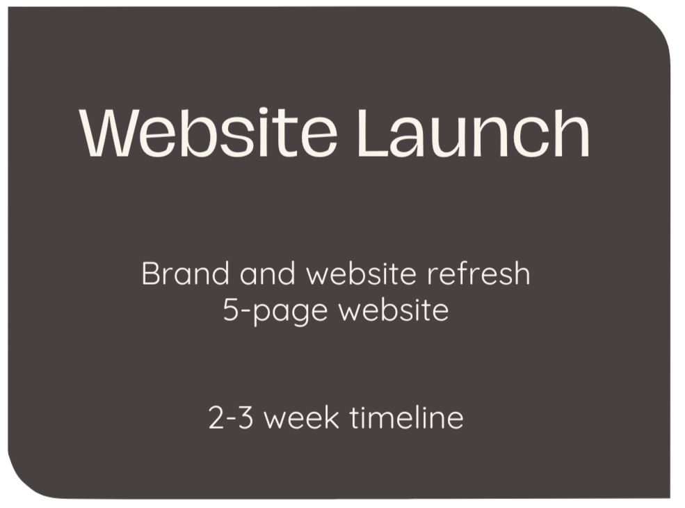 A slide with a black background and white text displaying a website launch plan, including brand and website refresh, a 5-page website, and a 2-3 week timeline.